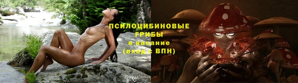 ПСИЛОЦИБИНОВЫЕ ГРИБЫ Вяземский
