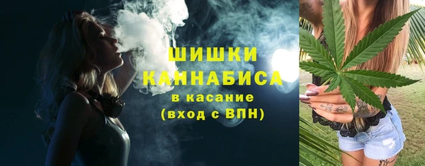 ПСИЛОЦИБИНОВЫЕ ГРИБЫ Вяземский