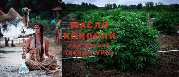 ПСИЛОЦИБИНОВЫЕ ГРИБЫ Вяземский
