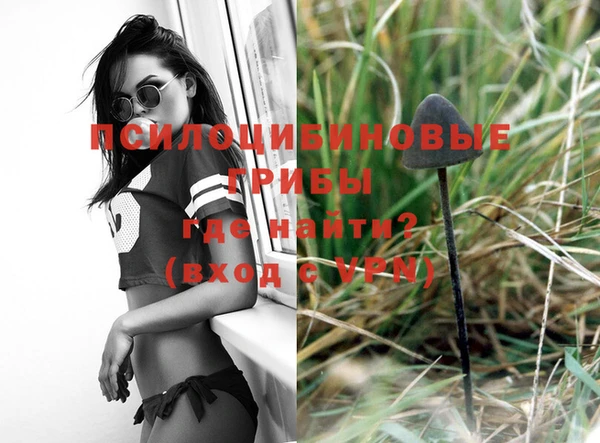 гашик Вязники