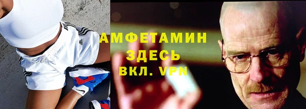 ПСИЛОЦИБИНОВЫЕ ГРИБЫ Вяземский