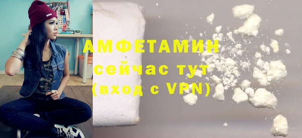 ПСИЛОЦИБИНОВЫЕ ГРИБЫ Вяземский