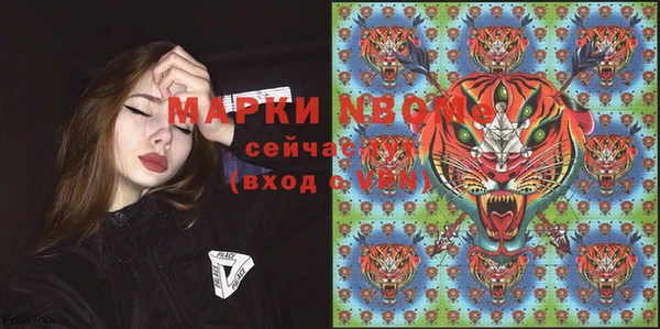 ПСИЛОЦИБИНОВЫЕ ГРИБЫ Вяземский