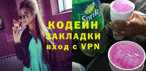 ПСИЛОЦИБИНОВЫЕ ГРИБЫ Вяземский