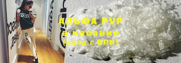 ПСИЛОЦИБИНОВЫЕ ГРИБЫ Вяземский