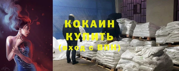 гашик Вязники